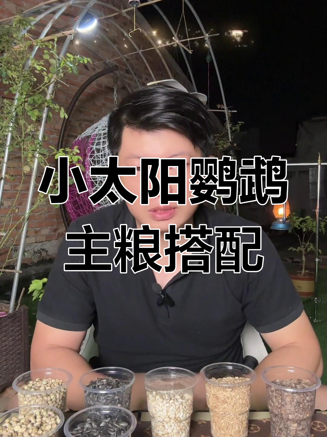 小太阳鹦鹉种子粮搭配技巧,五种粮食如何配比更健康