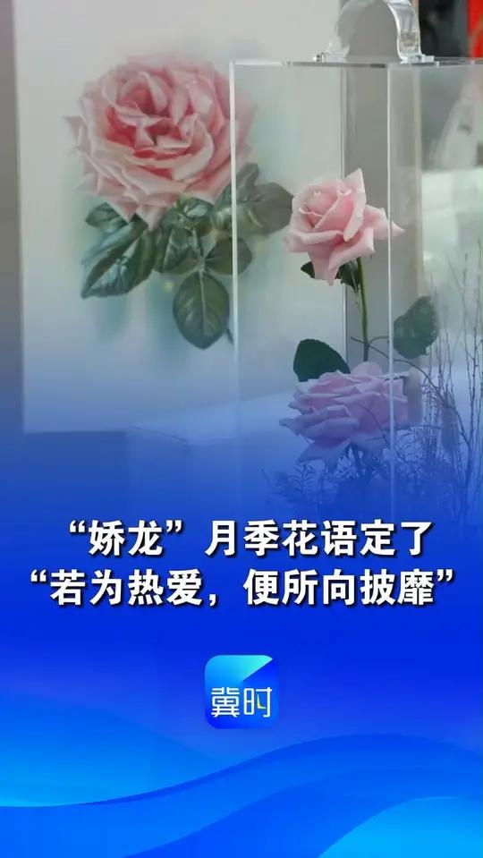 “娇龙”月季花语定了:“若为热爱,便所向披靡”!