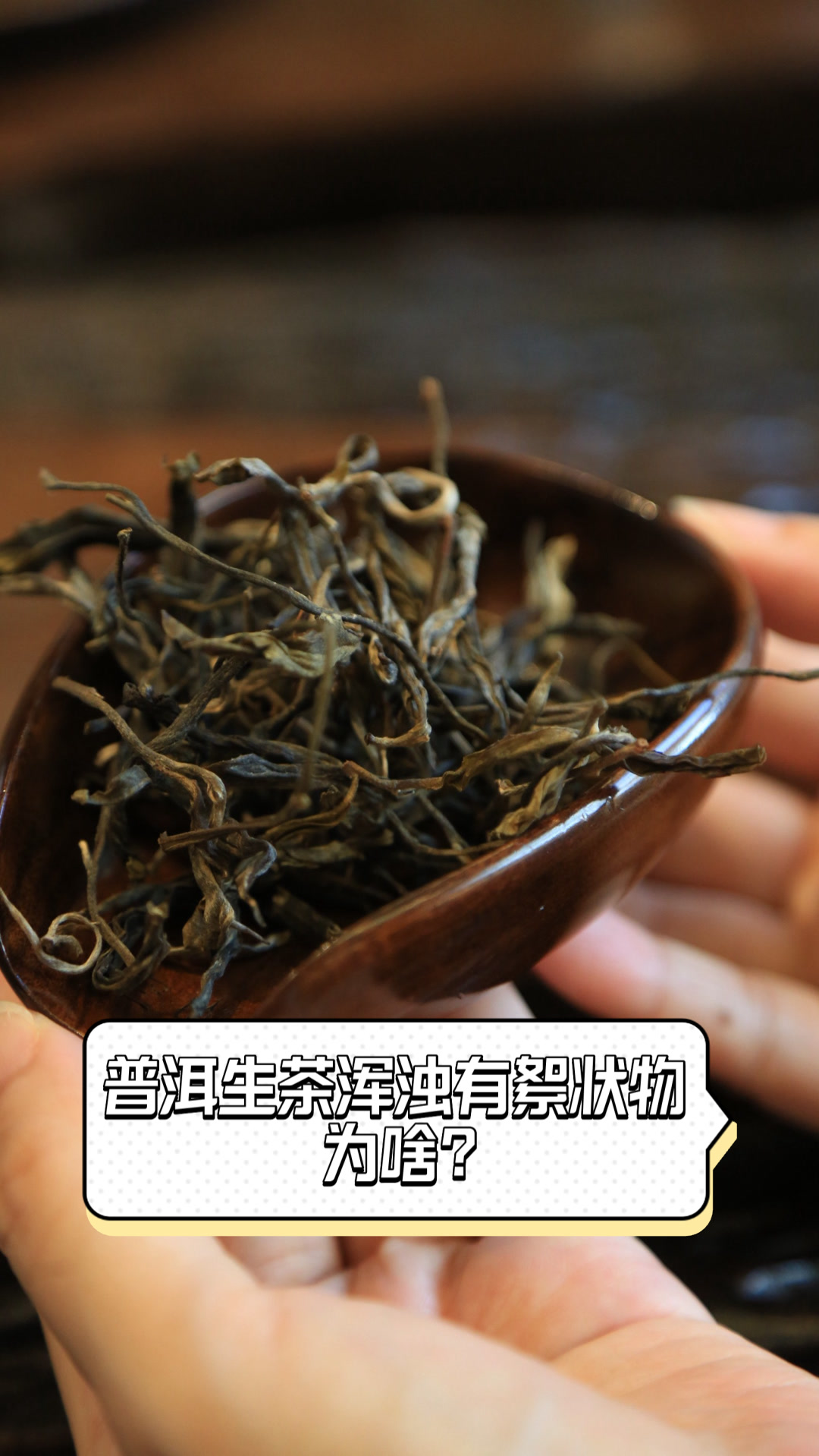 普洱生茶浑浊有絮状物,为啥?