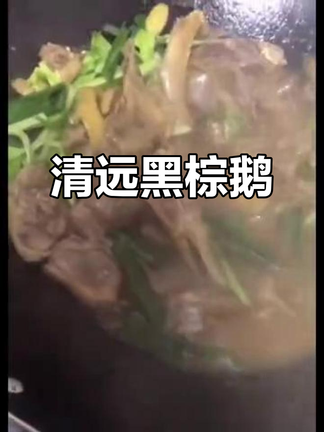 清远黑棕鹅:中国四大名鹅之首,肉质鲜美、皮香滑嫩