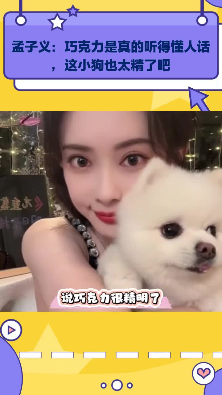 孟子义:巧克力是真的听得懂人话,这小狗也太精了吧
