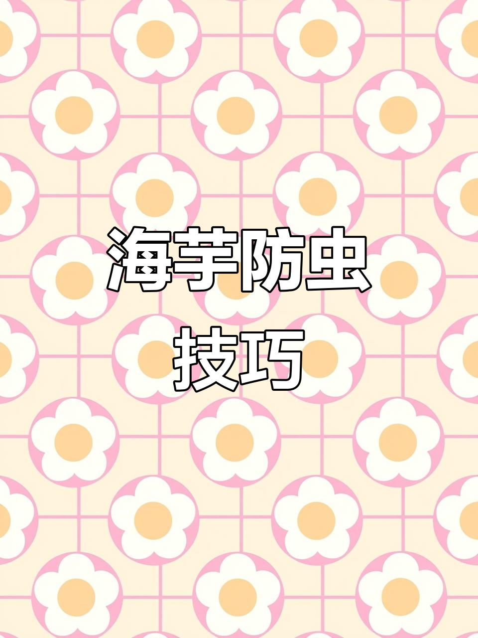 绿天鹅绒海芋养护秘籍:红蜘蛛不再困扰