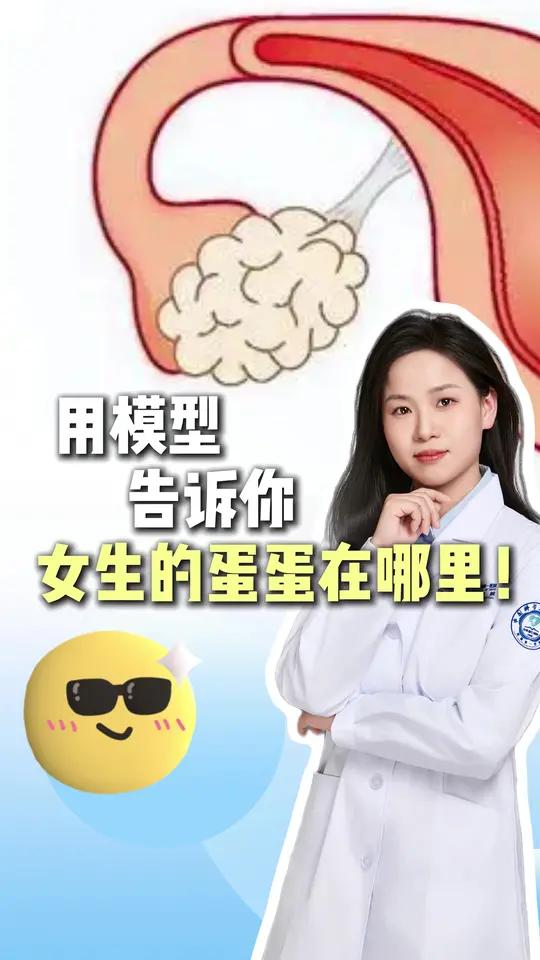 用模型告诉你,女生的蛋蛋在哪里!