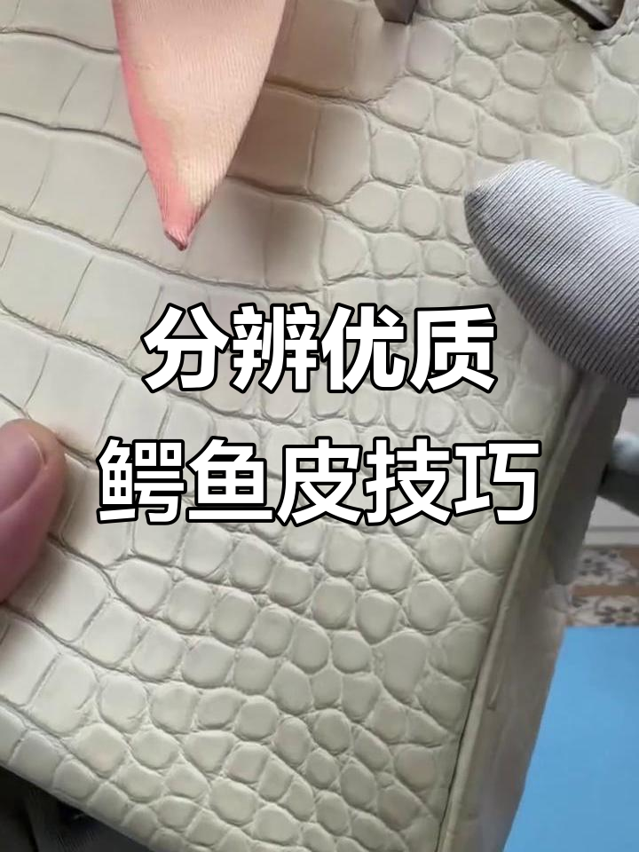 如何辨别一张优质的鳄鱼皮?细节决定真伪