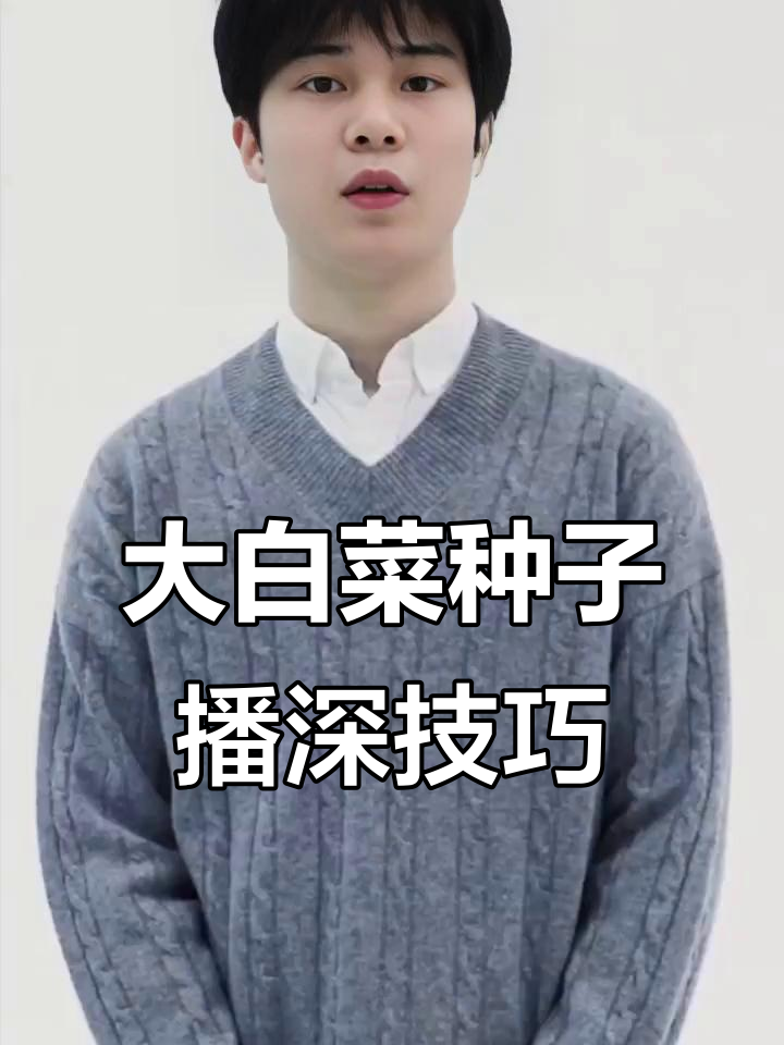 白菜播种深度掌握，避免根部暴露影响生长