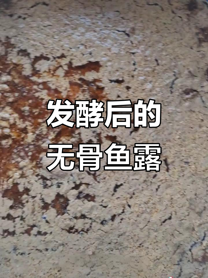 鱼露发酵神奇,鱼刺全消失!