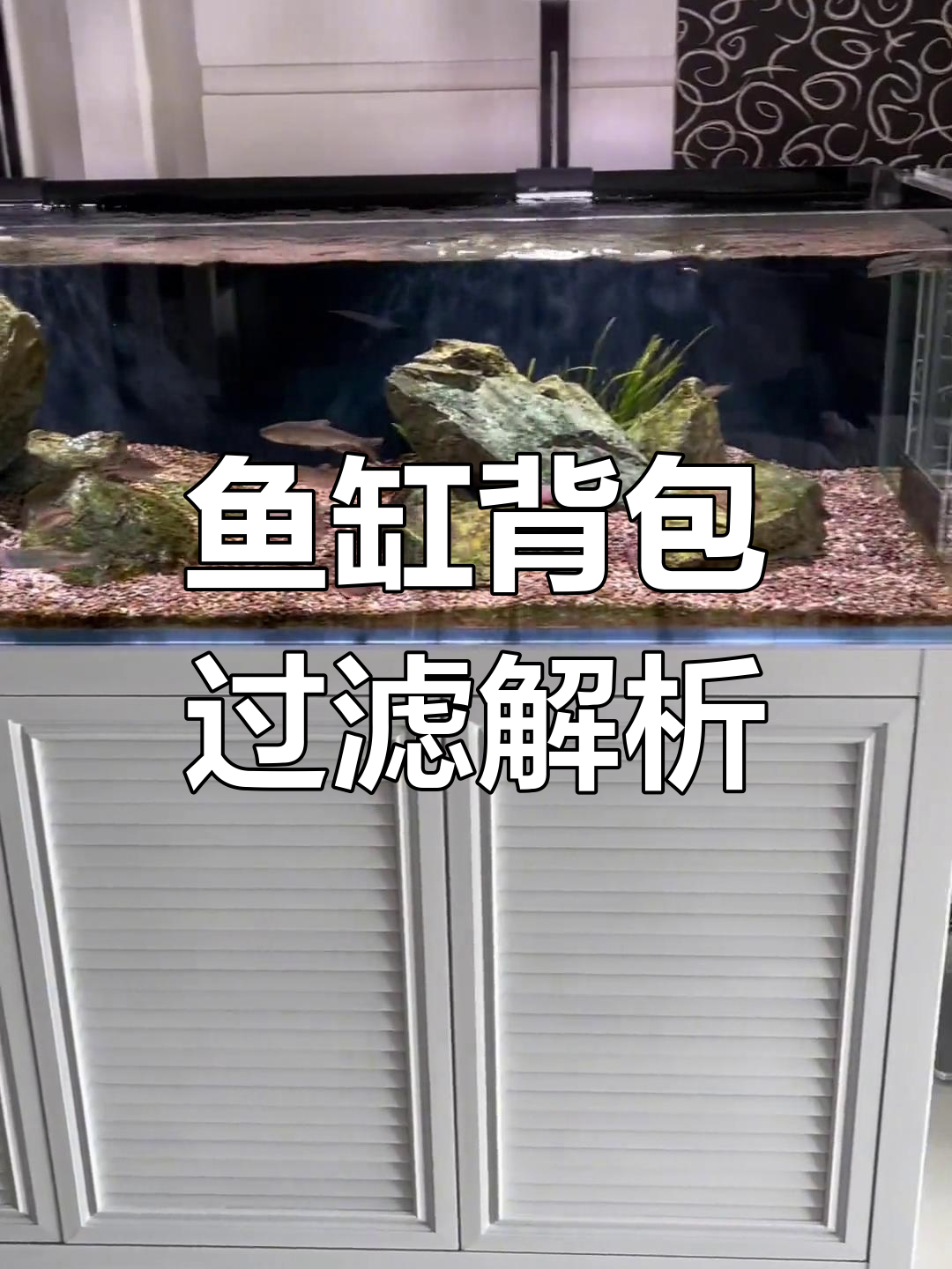 鱼缸背包过滤系统详解,半包与全包的优缺点对比