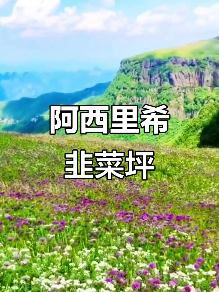 贵州韭菜坪：东方普罗旺斯花海，浪漫自驾之旅