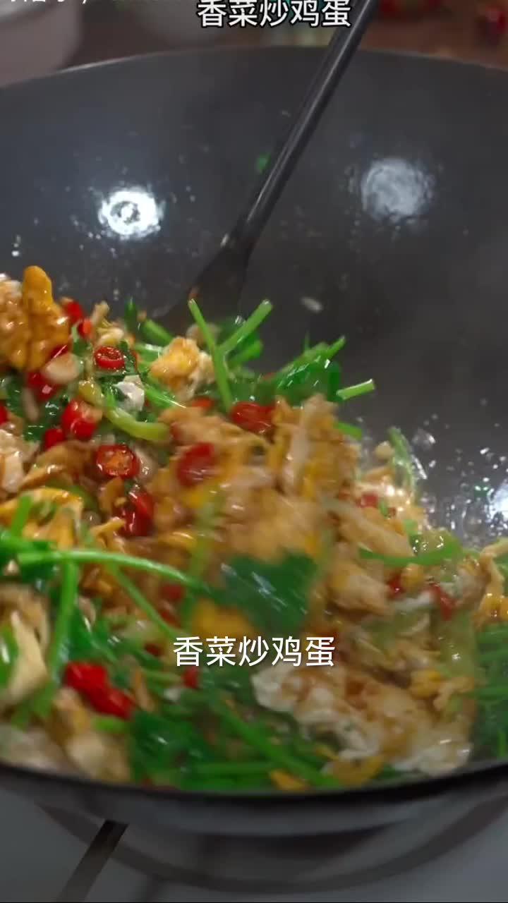 香菜炒鸡蛋,好看又好吃,大厨教你学做菜 简单美味家常菜做法 跟着视频学做菜 一日三餐人间烟