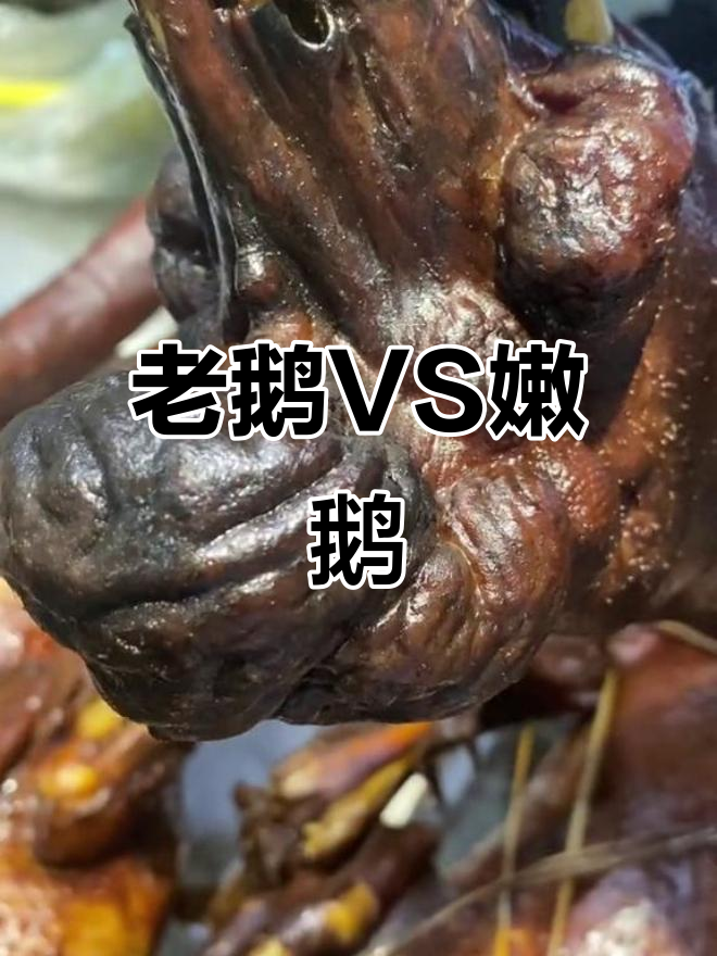 36个月老鹅与180天熟鹅,哪种更合您36月口味?