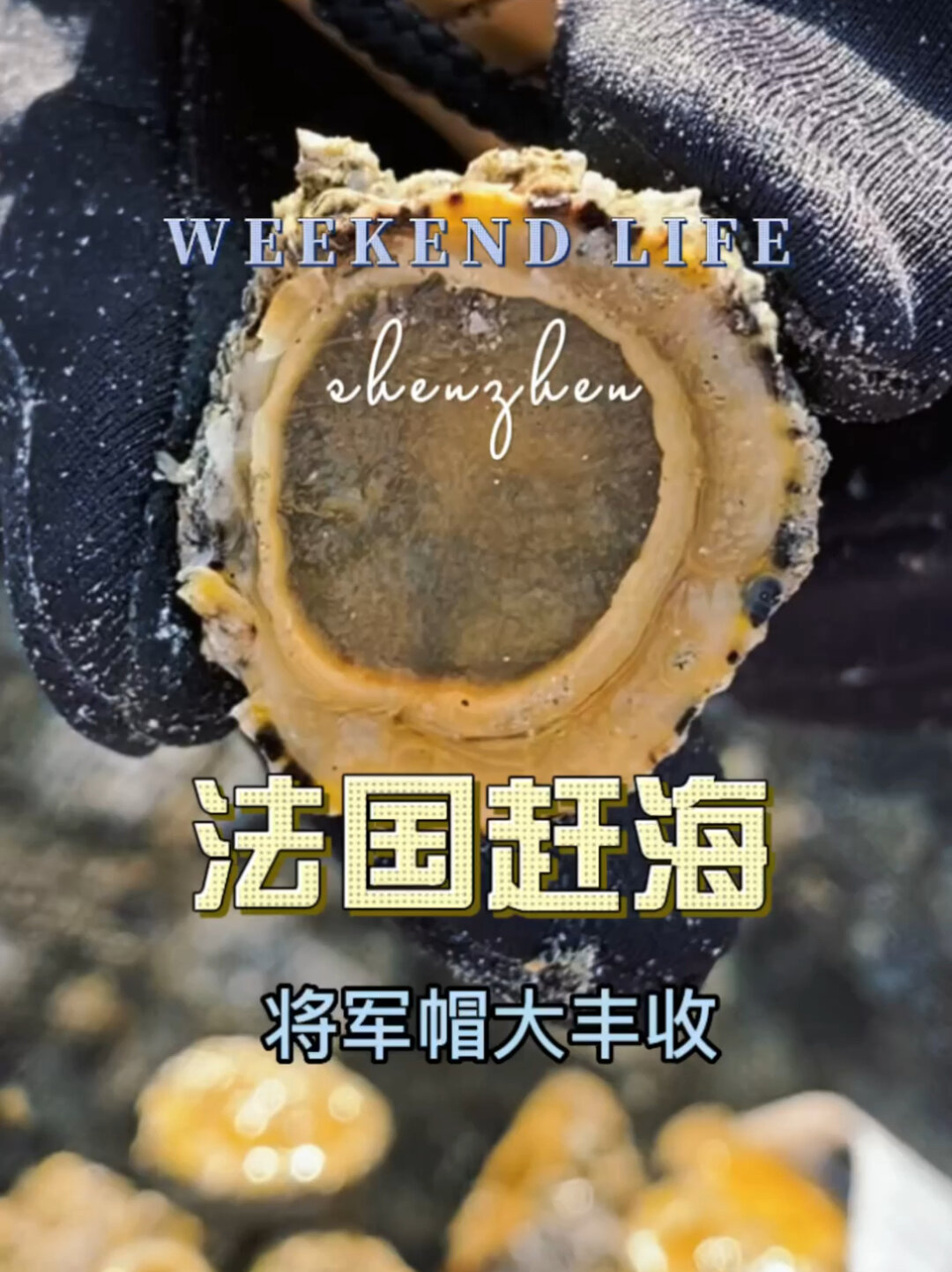 法国赶海|比鲍鱼还好吃的将军帽随便拿