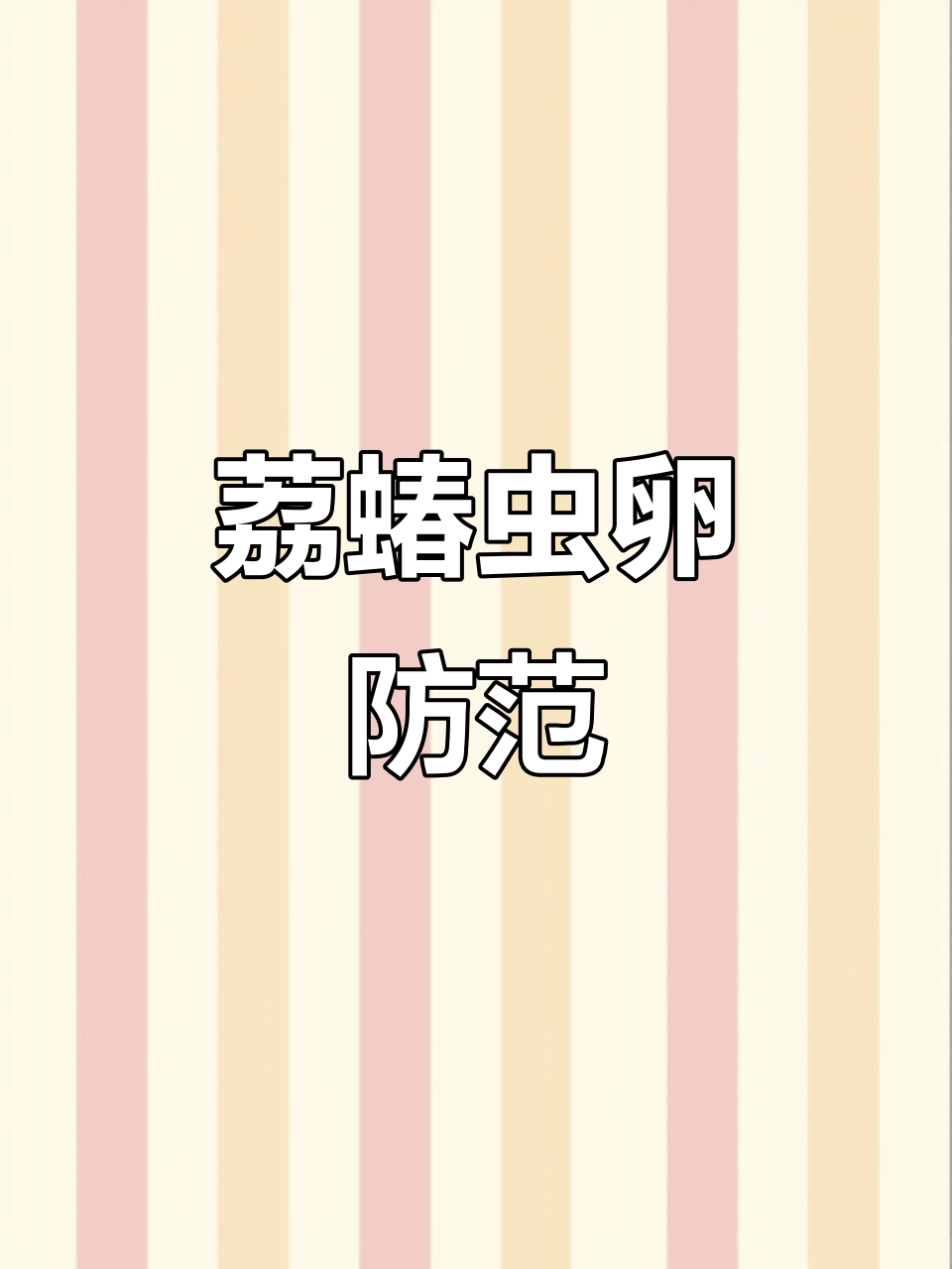 荔蝽虫卵遍布家中,触碰有异味,记得及时清理