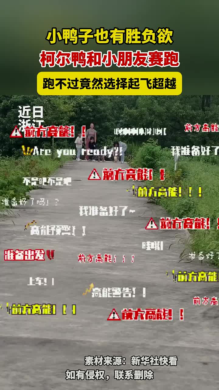「视频」小鸭子也有胜负欲,柯尔鸭和小朋友赛跑,跑不过竟然选择起飞超越