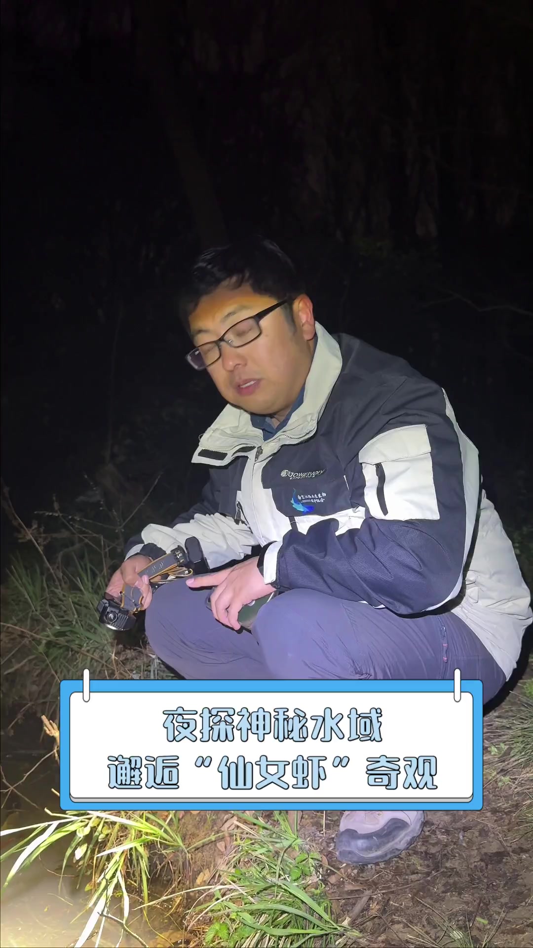 夜探神秘水域,邂逅“仙女虾”奇观