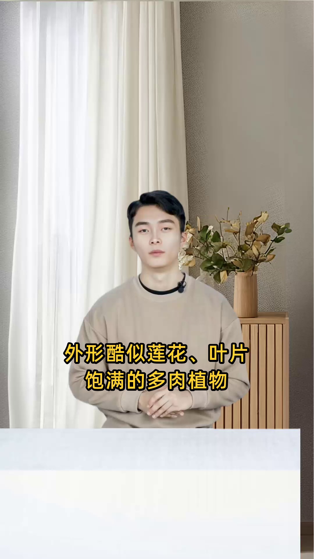 类似于莲花形态,叶片肥厚的多肉植物通常被称为什么?