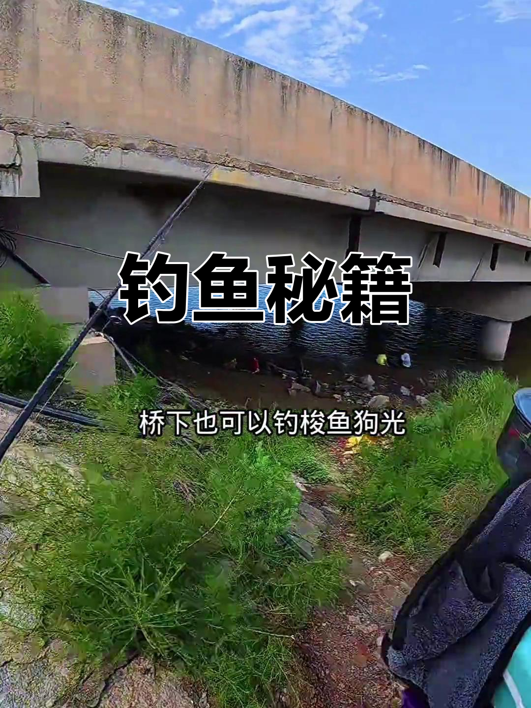 钓梭鱼用海蚯蚓,底钓狗光技巧全解析