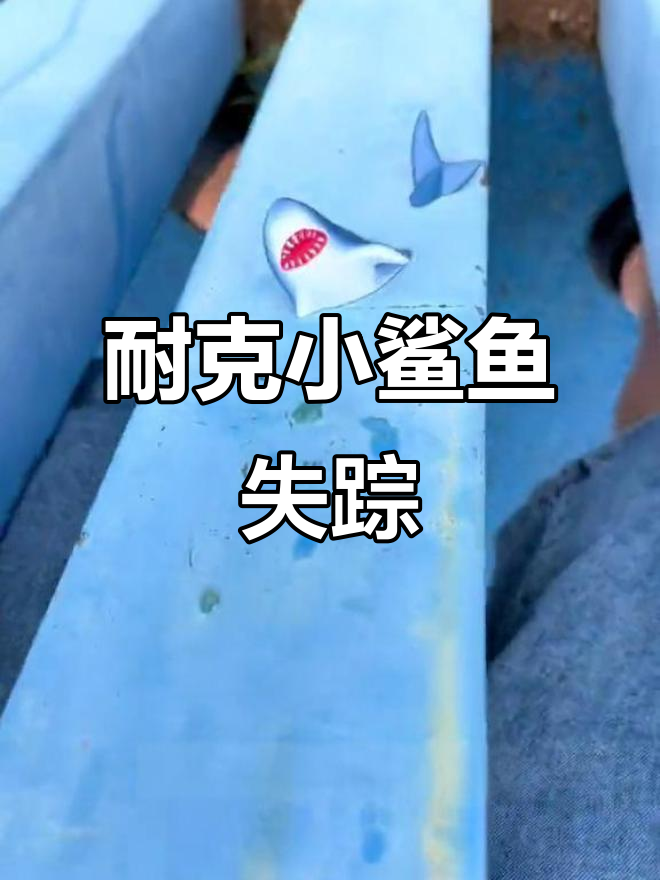 小鲨鱼跳完耐克鞋消失,鞋子去哪了?