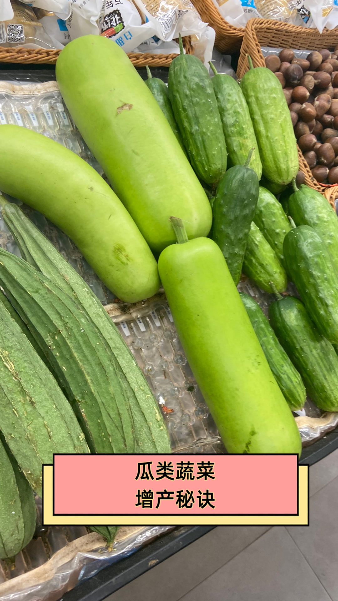 瓜类蔬菜增产秘诀