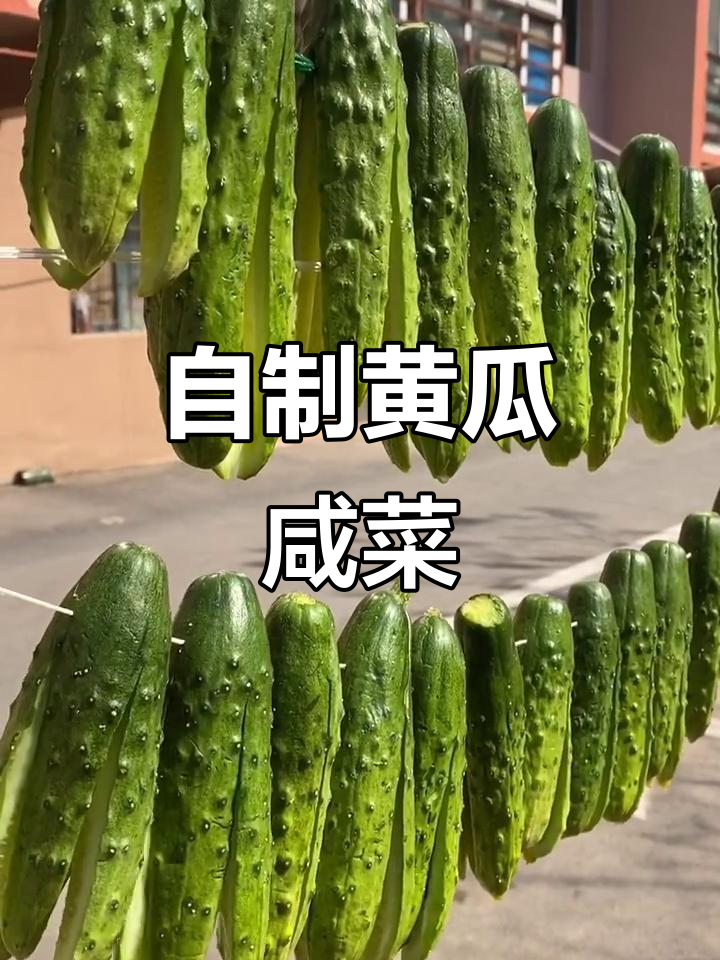 轻松做黄瓜咸菜，晒干后更美味，米饭配不停
