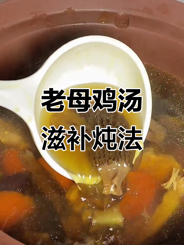 炖汤秘籍:老母鸡、鹿茸菇与干贝羊肚菌的完美搭配