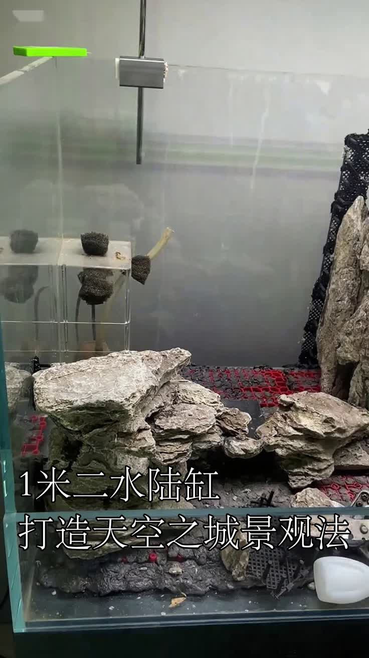 1米二水陆缸打造天空之城景观法