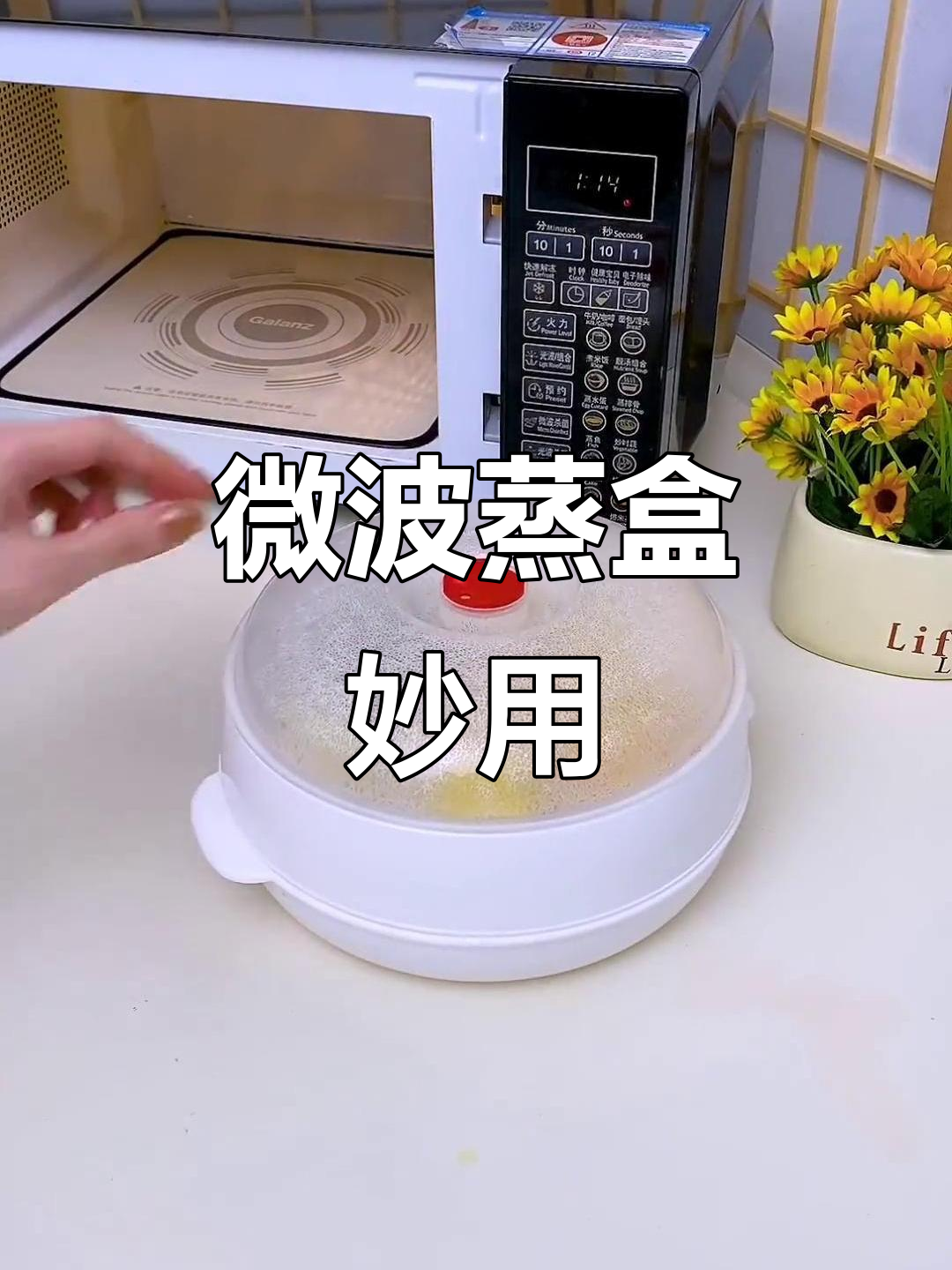 微波炉蒸盒让烹饪更方便,食物均匀受热不飞溅