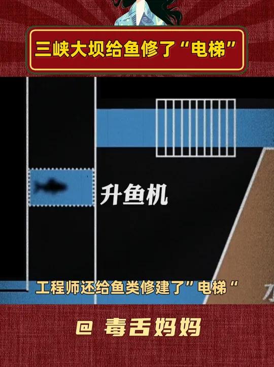 原来洄游鱼类是这么通过三峡大坝的