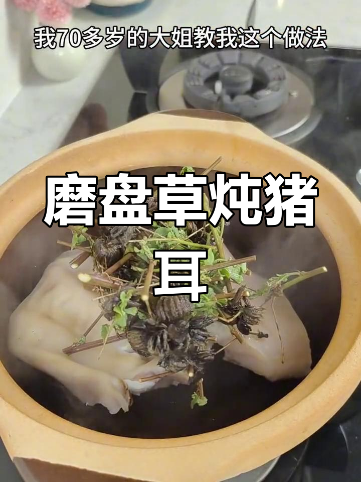 闽南特色猪耳朵炖磨盘草,香气扑鼻让人怀念家乡味