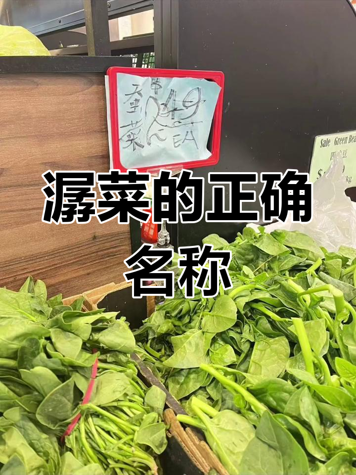 叶子滑腻,应称潺菜而非蠶菜