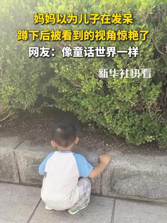 妈妈以为儿子在发呆,蹲下后被看到的视角惊艳了,网友:像童话世界一样(来源:颜宝)