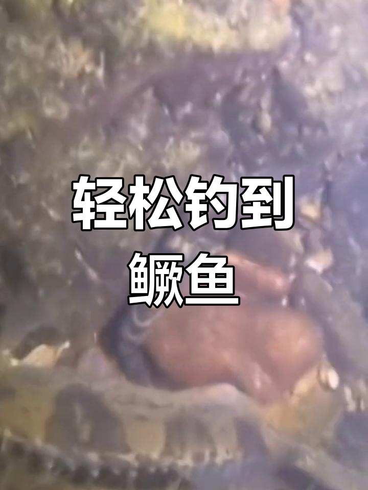路亚钓桂鱼的三大技巧,轻松掌握钓鱼方法