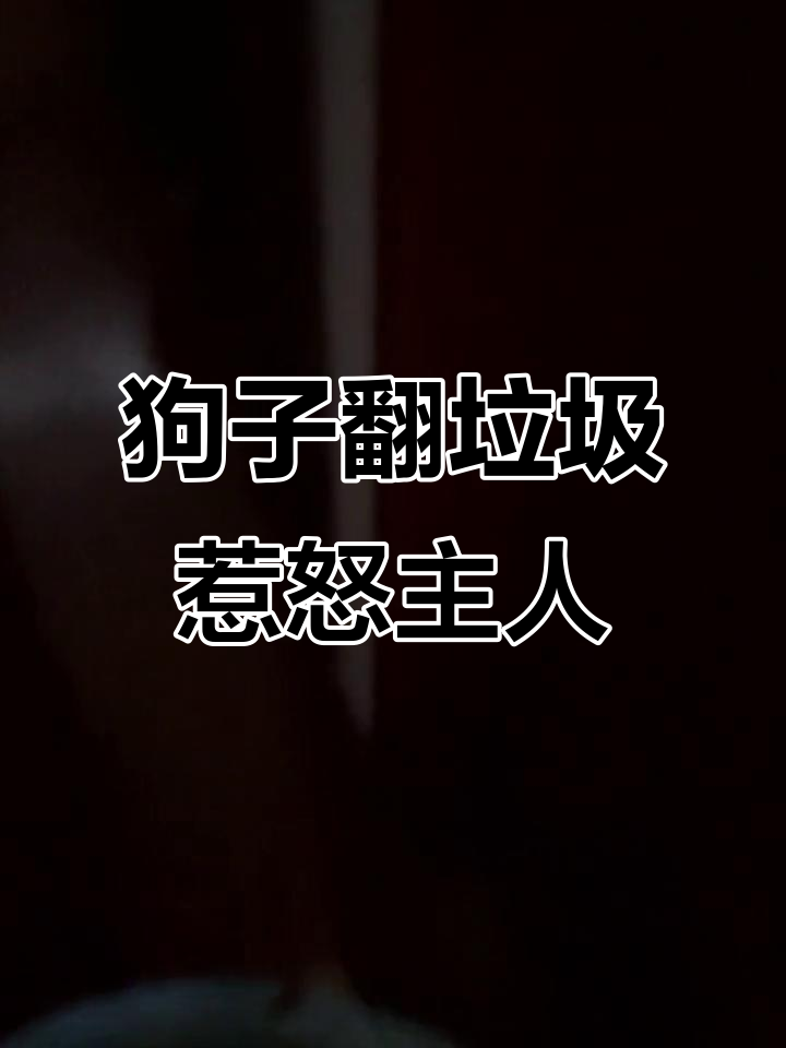 松狮狗子犯错后情绪失控，垃圾桶翻得骨头满地