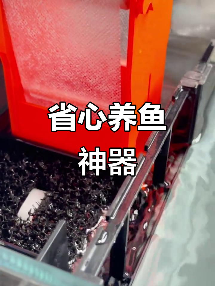 卷纸机让背滤鱼缸更省心，轻松换新，告别清洗烦恼