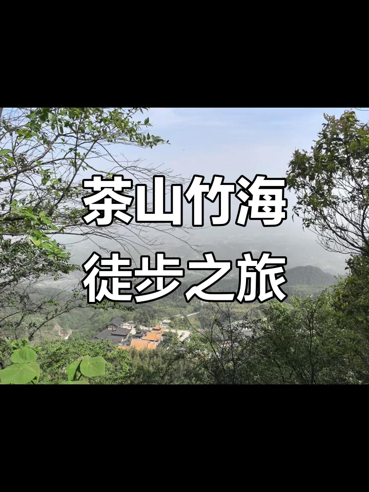 徒步茶山竹海,11公里消耗干拌面热量,山顶美景尽收眼底
