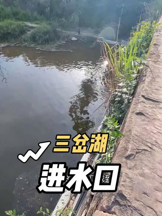 去了几次三岔湖了,终于找到进水口,饵鱼才多,真是路亚的好地方 说它是三岔湖的黄金钓位也不为