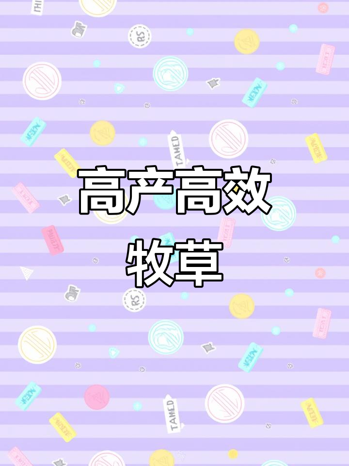 俄罗斯饲料菜：高产、高营养，猪牛羊鸡鸭鹅都爱吃