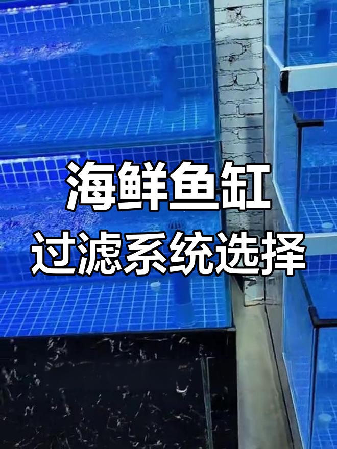 海鲜鱼缸底滤与背滤对比,哪种更适合你?