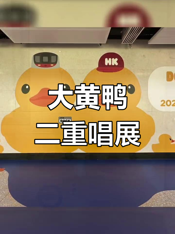 维多利亚港大黄鸭回归,两周精彩不容错过