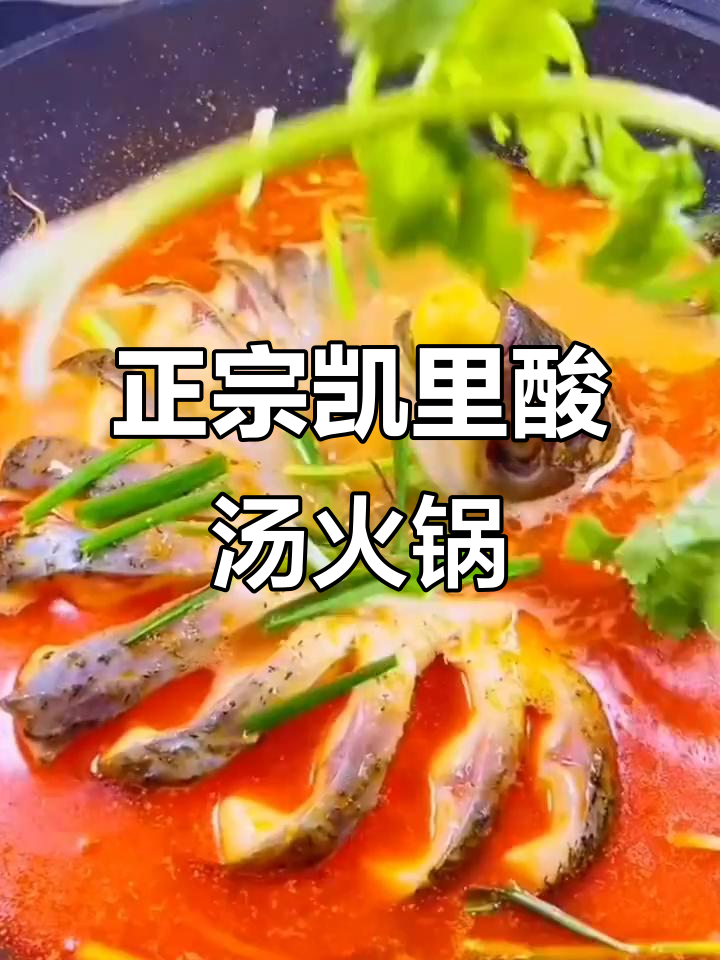 贵州凯里酸汤火锅,滑嫩爽口让你停不下来