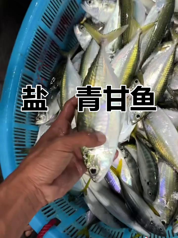 今晚尝试盐焗青甘鱼