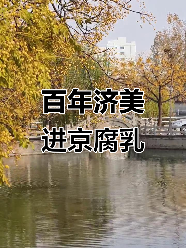 临清济美酱园：百年传承的进京腐乳与运河文化