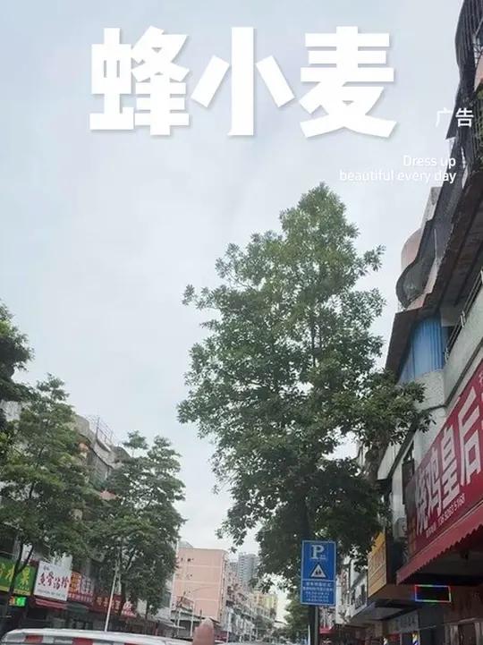 蜂小麦蜂蜜蛋糕东城店开业啦 快来蜂小麦吃蜂蜜蛋糕蛋糕蜂蜜蛋糕