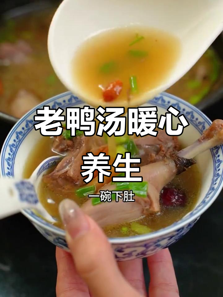 秋冬滋补老鸭汤,党参黄芪炖鸽子驱寒养生