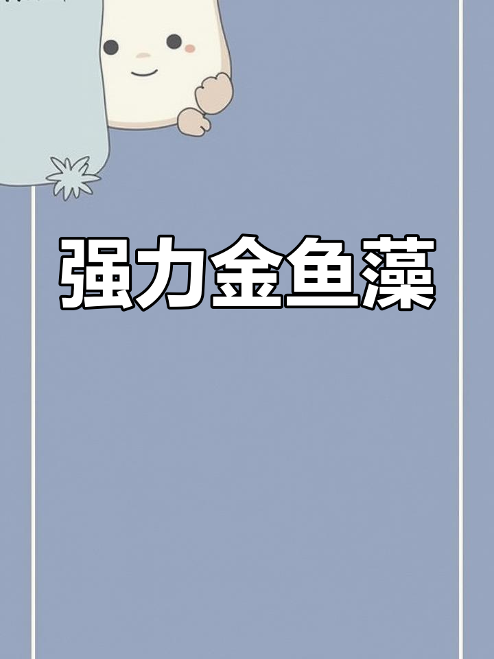 金鱼藻:最适合冷水鱼的强繁殖水草,轻松养不死