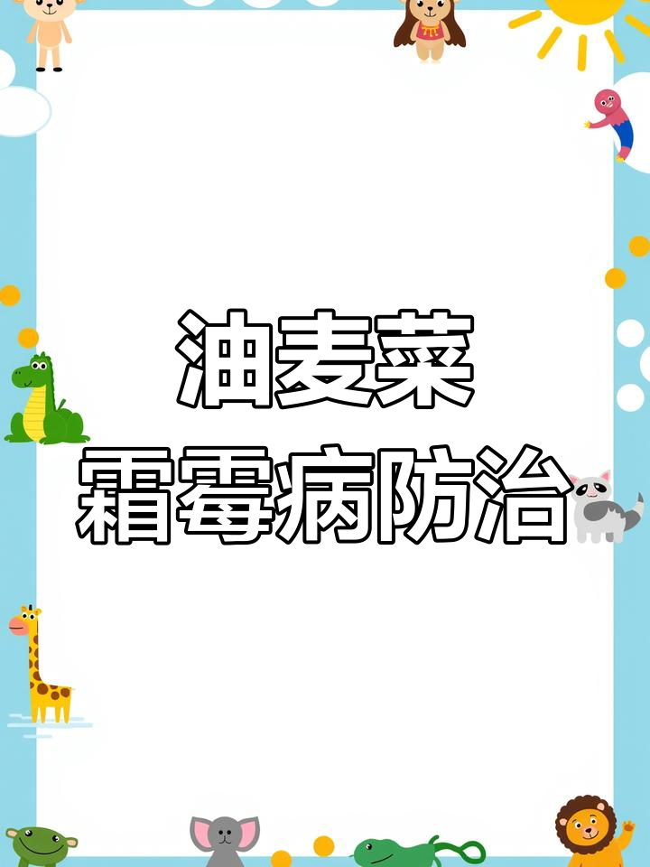 2023年2月2日油麦菜霜霉病与白粉病防治技巧