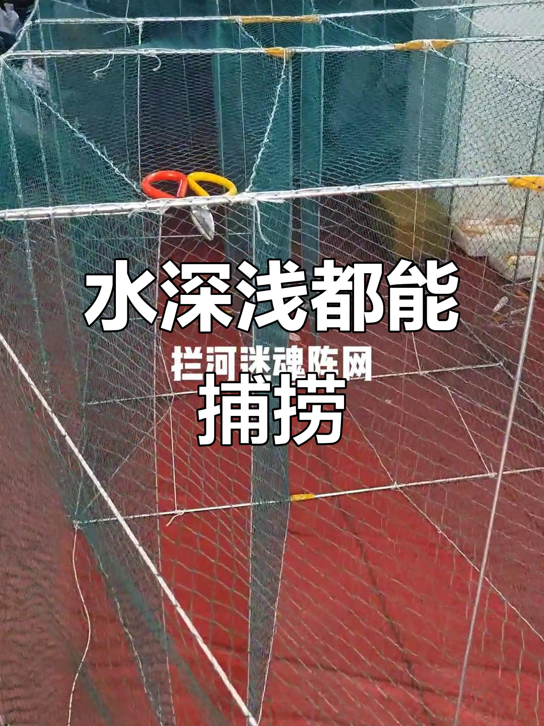 顶顺水鱼网迷魂阵,轻松捕捉大耳方框金鱼
