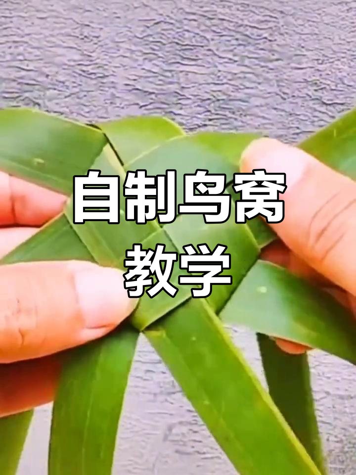 手工制作鸟窝教程,简单步骤教你做八角形巢穴