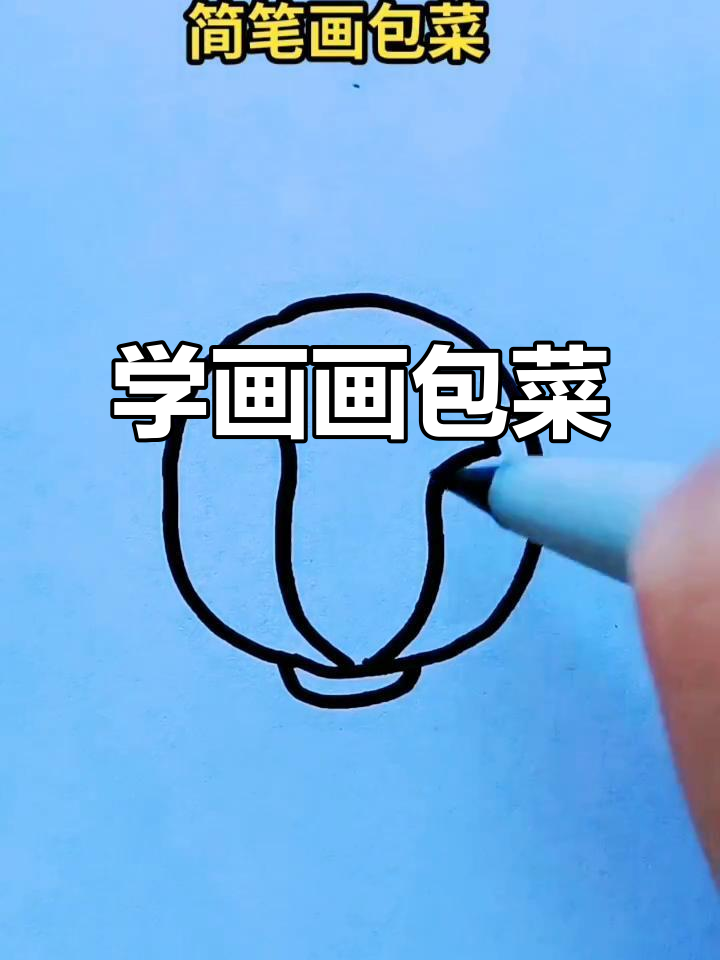 包菜简笔画,轻松学画可爱蔬菜