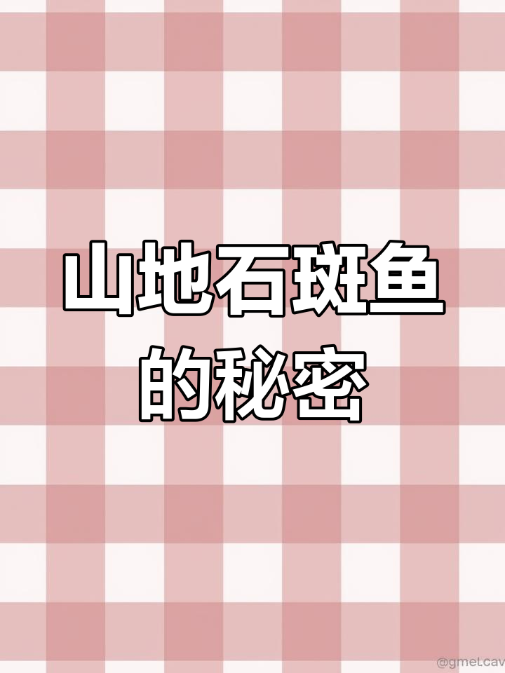 石斑鱼:山区溪流中的神秘美味,深青黑身带六横纹
