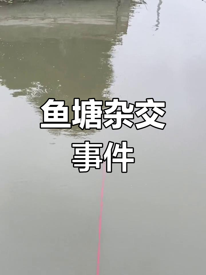 鱼塘里的杂交大作战,草鱼变种成谜